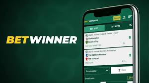 Everything You Need to Know About the Betwinner App