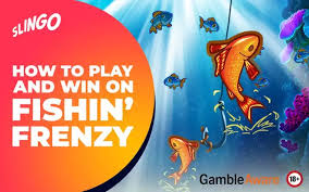 Experience the Thrill of Fishin' Frenzy Play 335091908